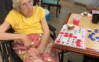 villages assisted living