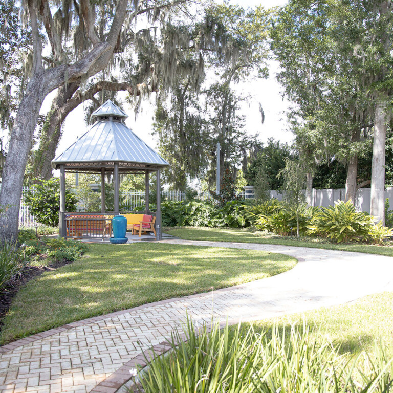 THE VILLAGES FLORIDA visual data 5