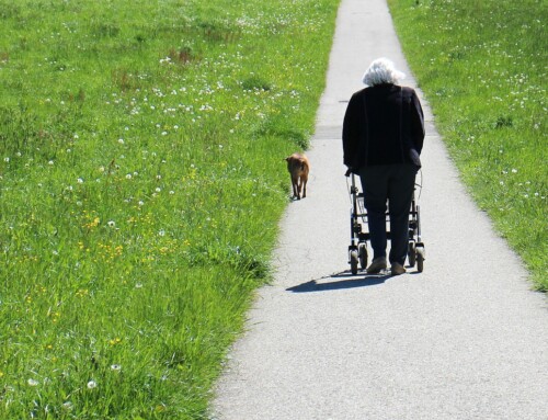 Walking into Wellness: Fall Is the Perfect Time to Get Moving