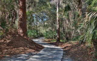 planning a day trip for a senior