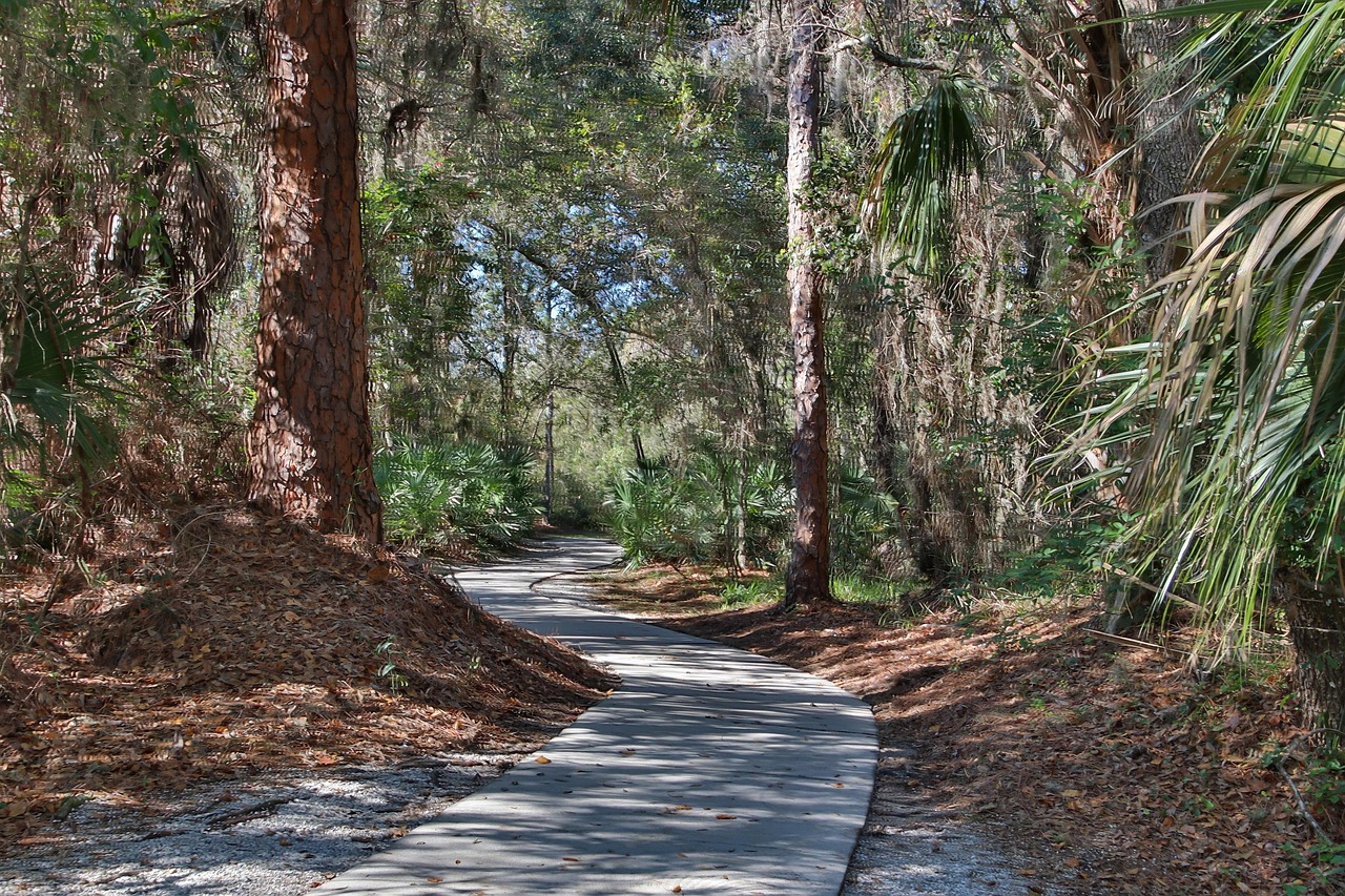 day trips for seniors 